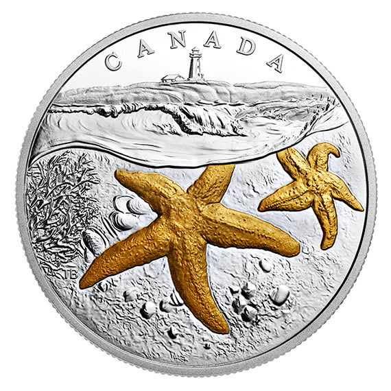 RCM-New-Release:-2017-1-Oz.-Pure-Silver-Gold-Plated-Coin---From-Sea-To-Sea-To-Sea:-Atlantic-Starfish